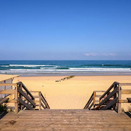 Mapalou Balcony Ocean View Cozy Downtown Parking Apartment