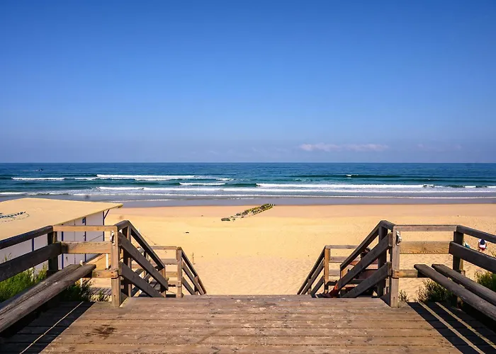 Mapalou Balcony Ocean View Cozy Downtown Parking Apartment