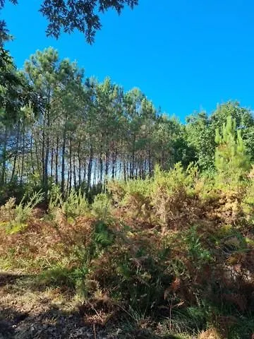 Apartment Mapalou Balcony Ocean View Cozy Downtown Parking