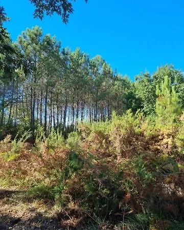 Apartment Mapalou Balcony Ocean View Cozy Downtown Parking