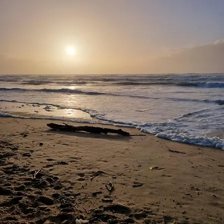 Mapalou Balcony Ocean View Cozy Downtown Parking Lejlighed