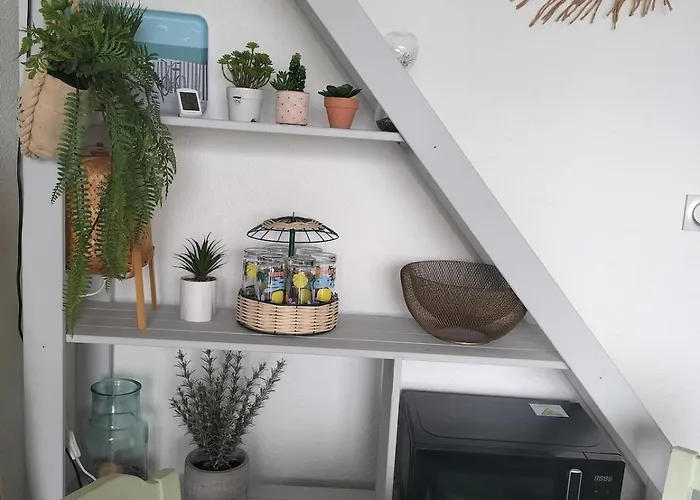 Mapalou Balcony Ocean View Cozy Downtown Parking Lejlighed