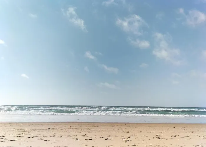 Mapalou Balcony Ocean View Cozy Downtown Parking