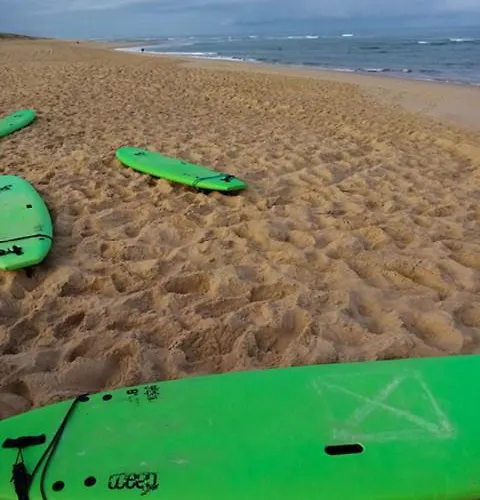 Mapalou Balcony Ocean View Cozy Downtown Parking Lejlighed Mimizan