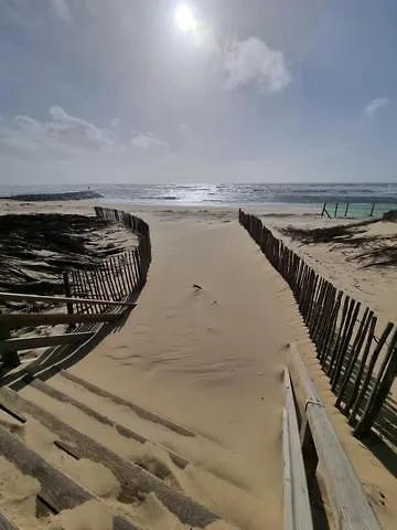 Mapalou Balcony Ocean View Cozy Downtown Parking Lejlighed *