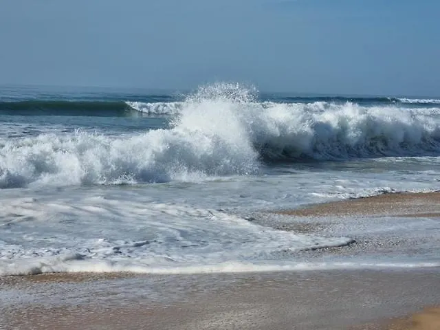 Mapalou Balcony Ocean View Cozy Downtown Parking * Mimizan