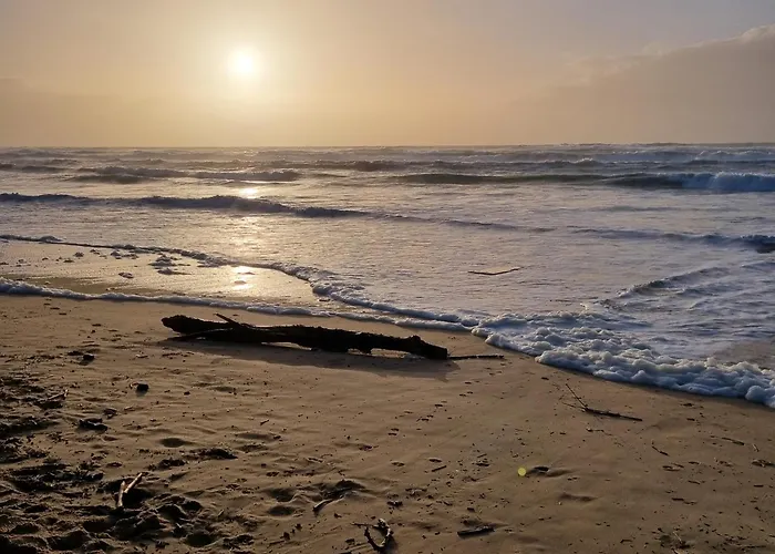 Mapalou Balcony Ocean View Cozy Downtown Parking Lejlighed