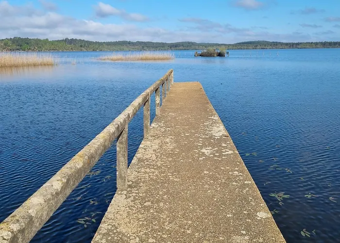 Mapalou Balcony Ocean View Cozy Downtown Parking Lejlighed *